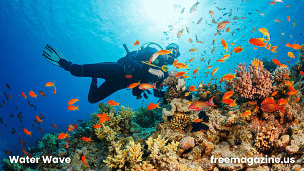 The Most Beautiful Coral Reefs for Snorkeling: A Magical Underwater Experience for Sea Lovers